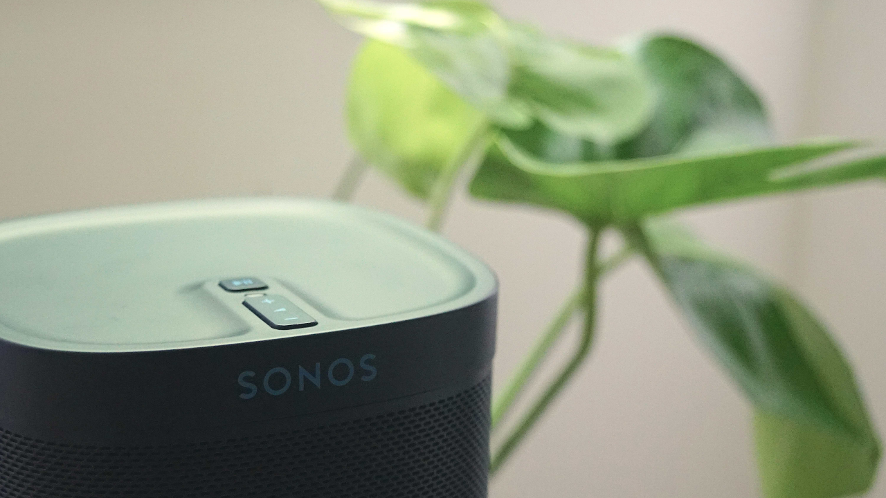The Sonos One speaker close up with a plant behind it.